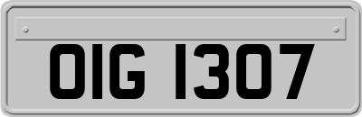 OIG1307