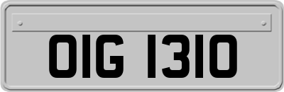 OIG1310
