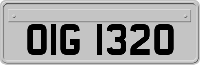 OIG1320