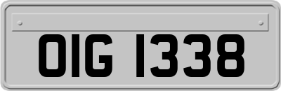 OIG1338