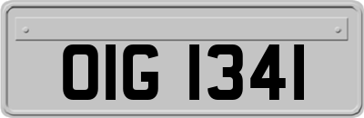 OIG1341