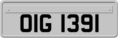 OIG1391