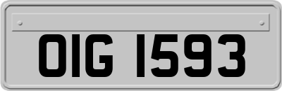 OIG1593