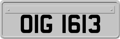 OIG1613