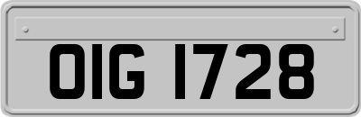 OIG1728
