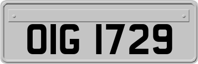 OIG1729
