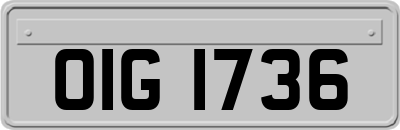 OIG1736
