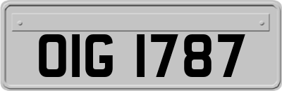 OIG1787