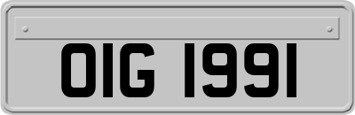 OIG1991