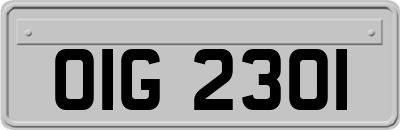 OIG2301
