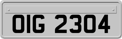 OIG2304