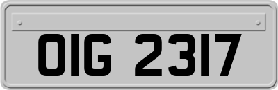 OIG2317