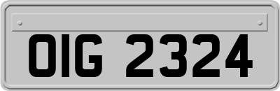 OIG2324