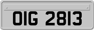 OIG2813