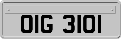 OIG3101