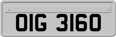OIG3160
