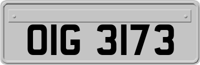OIG3173