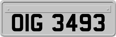 OIG3493