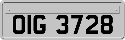 OIG3728