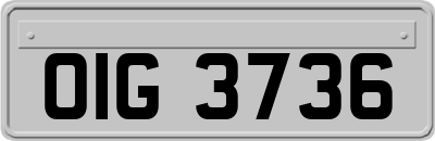 OIG3736