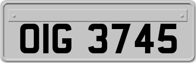 OIG3745
