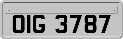 OIG3787