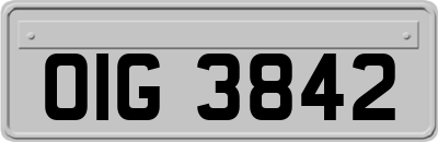 OIG3842