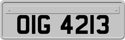 OIG4213