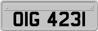 OIG4231
