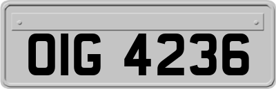 OIG4236
