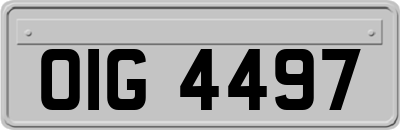 OIG4497