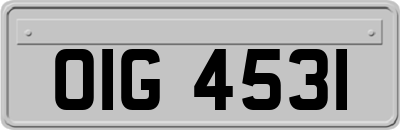 OIG4531