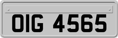 OIG4565