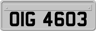 OIG4603