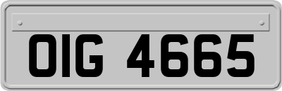 OIG4665