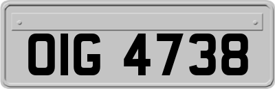 OIG4738