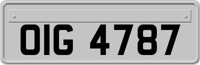 OIG4787