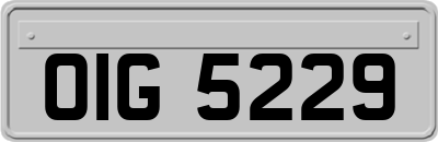 OIG5229