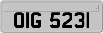 OIG5231