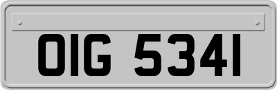 OIG5341