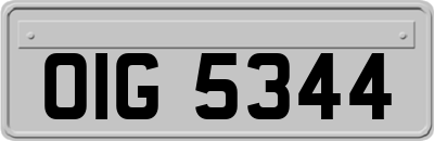 OIG5344
