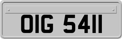 OIG5411