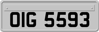 OIG5593