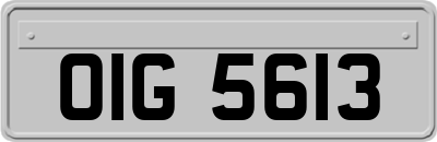 OIG5613