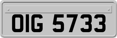 OIG5733
