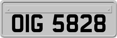 OIG5828