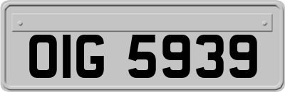 OIG5939