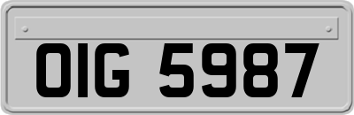 OIG5987