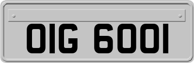 OIG6001