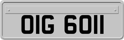OIG6011